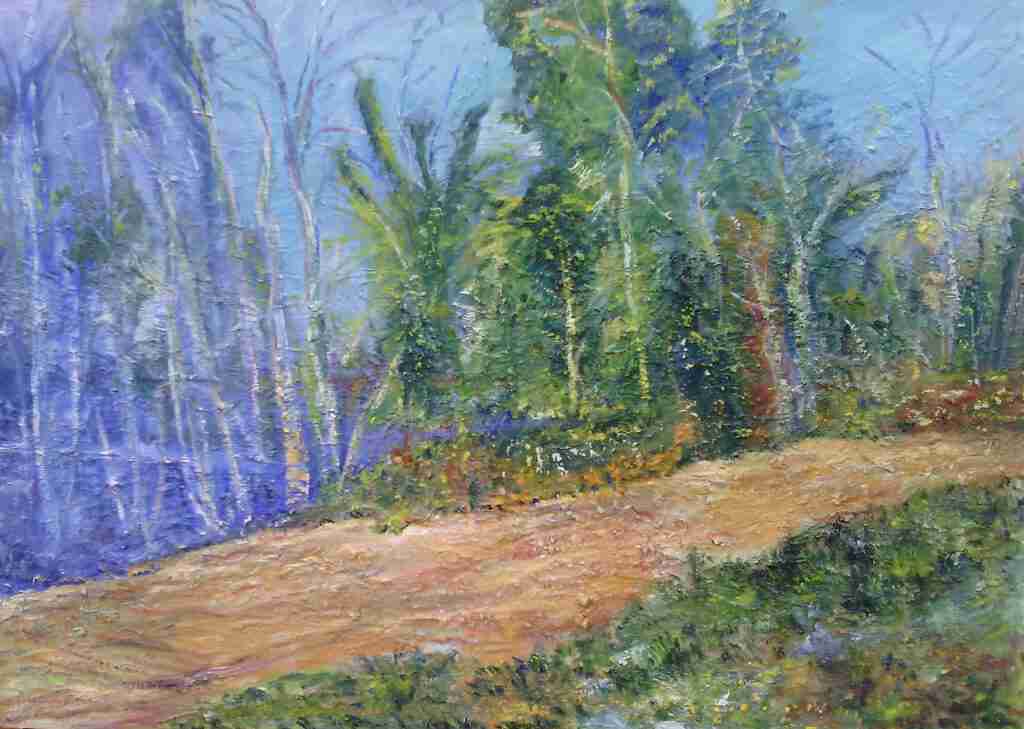 Costeggiando il lago