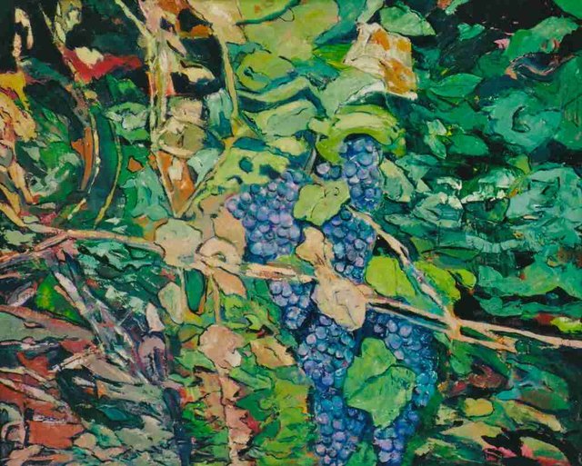 La vigna